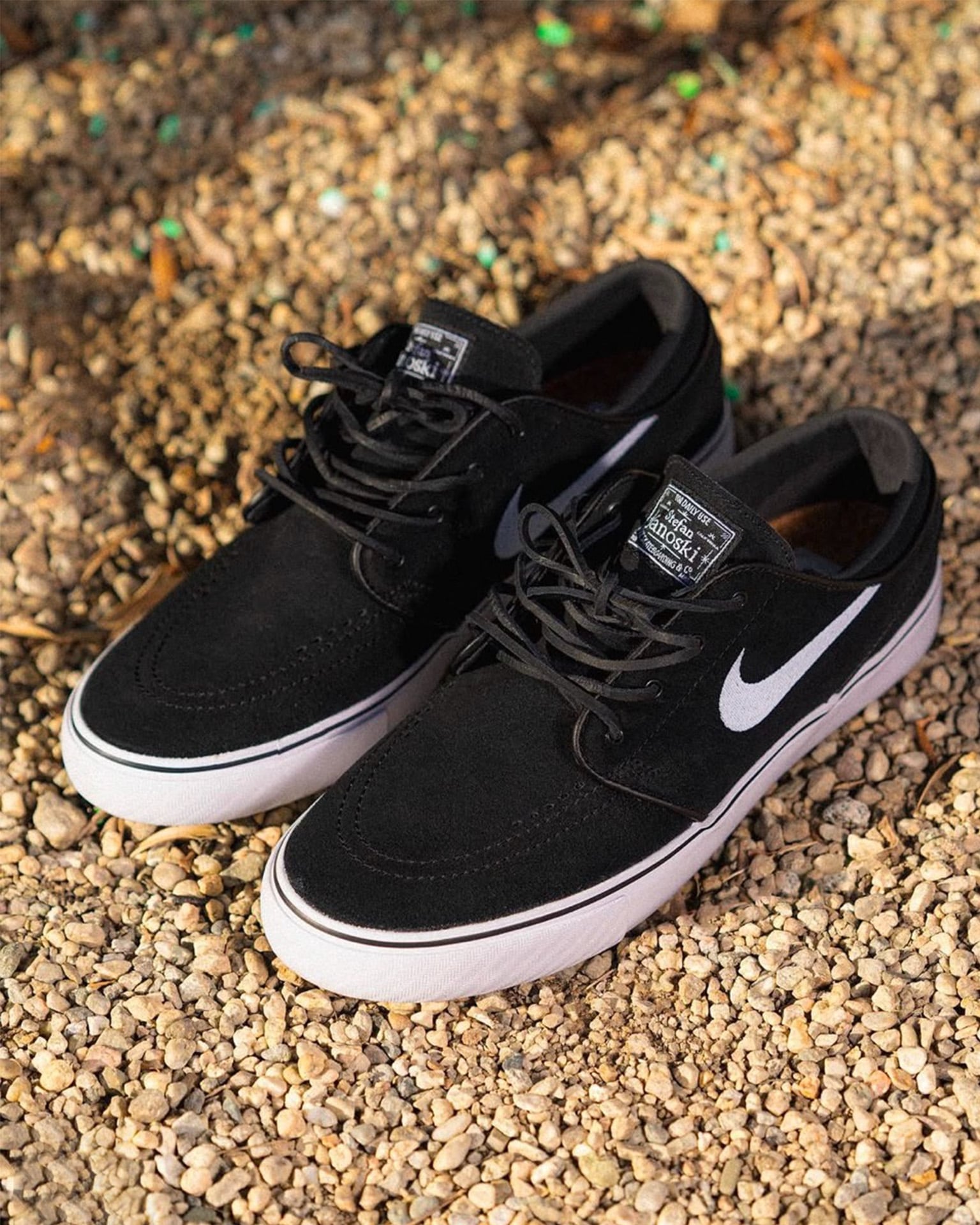 nike sb skate shoe brand image