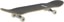 Plan B HODL 8.0 Complete Skateboard - angle