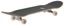 Real Rose Oval 8.25 Complete Skateboard - angle