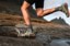 Altra Men's Lone Peak 9+ Plus GORE-TEX Trail Running Shoes - dusty olive - Lifestyle 1