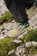 Altra Men's Lone Peak 9 Trail Running Shoes - dusty olive - Lifestyle 1