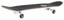 Tactics 7.5 Logo Complete Skateboard - oval drip - profile